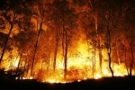 وقوع آتش سوزی در پارک ملی سالوک اسفراین