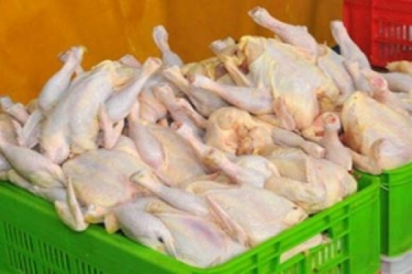 تعزیرات حکومتی موظف به بررسی افزایش قیمت مرغ است