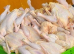 کاهش قیمت گوشت مرغ در خراسان شمالی