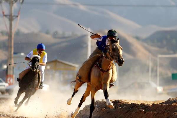 لزوم تقویت صنعت اسب ترکمن به توسعه گردشگری کمک می کند