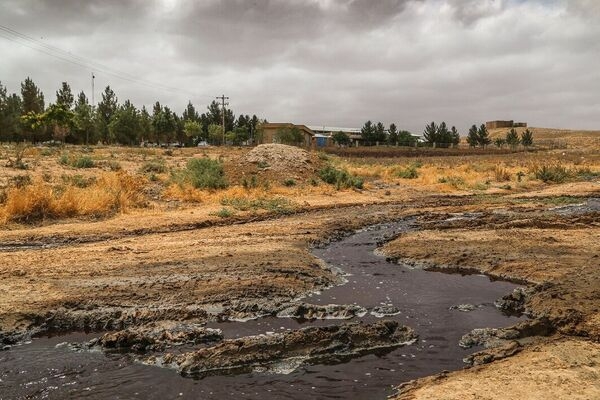 راه اندازی تصفیه خانه کشتارگاه دام بجنورد تا دی&zwnj;ماه