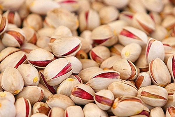 صادرات میوه و خشکبار خراسان&zwnj;شمالی آغاز شد