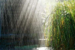 بارش 29 میلیمتری باران در اسفراین