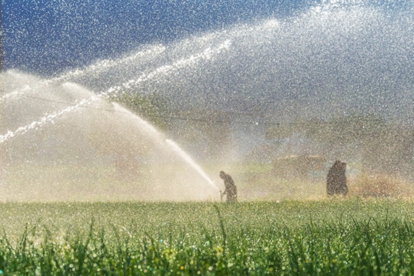 اجرای ۱۱۰ طرح آبیاری هوشمند در کشور