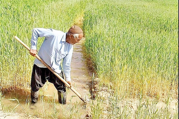 سهم آب کشاورزی خراسان&zwnj;شمالی به یک&zwnj;سوم کاهش یافت