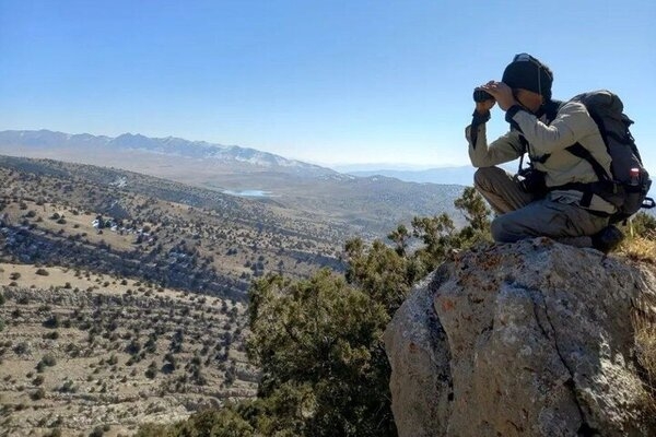 سرشماری پاییزه پستانداران در خراسان شمالی آغاز شد
