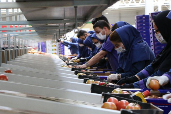 ۷۶۰ ایثارگر در مسیر خودکفایی و نقش‌آفرینی در اقتصاد استان