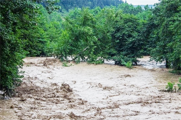 رویکرد بیمه محصولات کشاورزی نیازمند بازنگری است