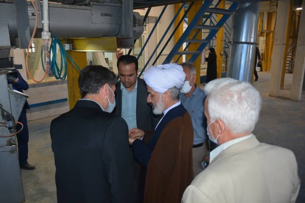 بررسی مشکلات بزرگترین مجموعه تولید کننده نهادهای دام و طیور استان