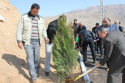 کاشت 330 هزار اصله نهال در عرصه&zwnj;های طبیعی