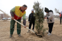 مراسم روز درختکاری در بجنورد