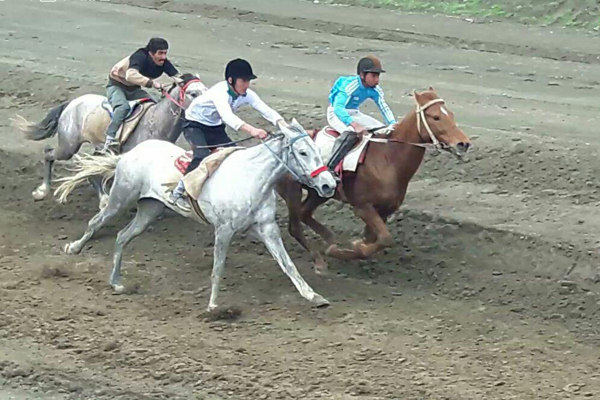 اسب‌های برتر مسابقات اسبدوانی راز و جرگلان مشخص شدند