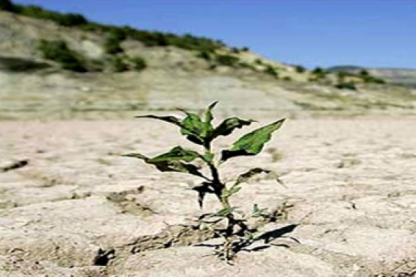 خشکسالی زمینه مهاجرت روستاییان به شهرها را فراهم کرده است