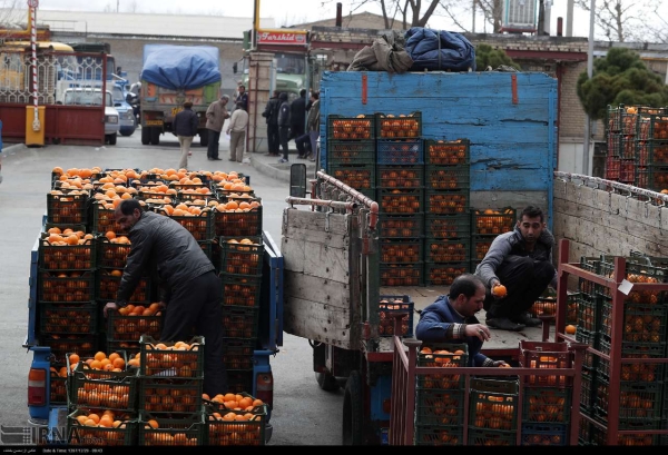 آغاز توزیع میوه شب عید از 25 اسفند