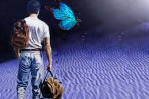 داستان سفر عاشقانه من و پروانه