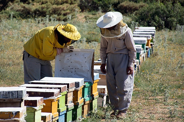 ۹۸۵ فقره تسهیلات به مشاغل خرد خراسان شمالی پرداخت شد